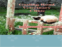 Tablet Screenshot of goslingroadvet.com